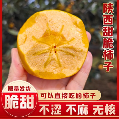 陕西巧克力脱涩脆甜柿子