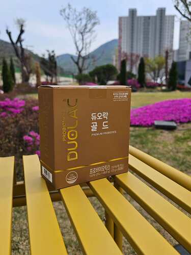 韩国DUOLAC黄金益生菌男士女士gold孕妇双岐杆菌菌港澳台顾客专拍