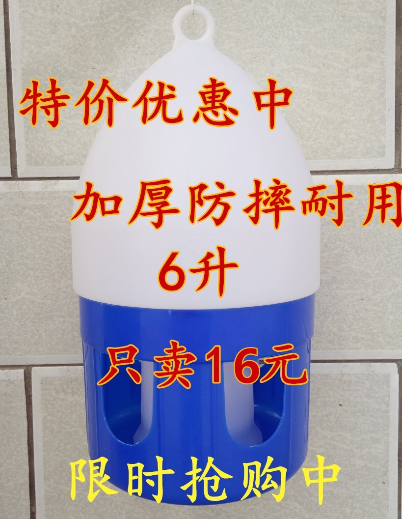 用具赛鸽鸽子水槽鸟用1-12鸽具