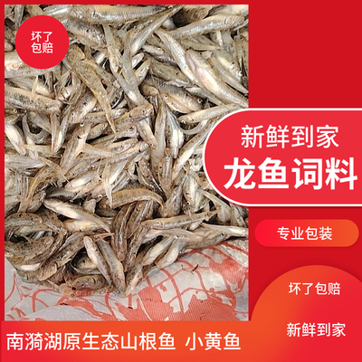 南漪湖山根鱼沙丁子溪石坑鱼油炸小河杂鱼龙鱼乌龟词料包邮