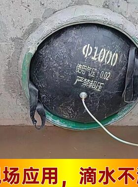 堵水气囊皮球顺丰包邮次日达