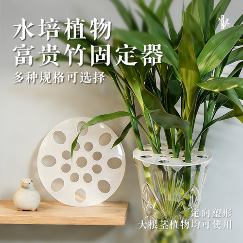 高颜值富贵竹多孔水培插花器