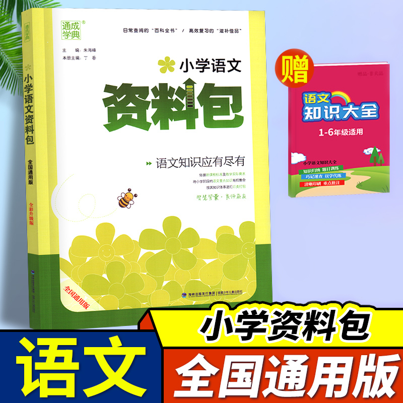 通城学典小学语文资料包全国通用大字护眼版小学一二三四五六年级语文基础知识集锦小升初语文工具书小考语文资料包知识大集结-封面