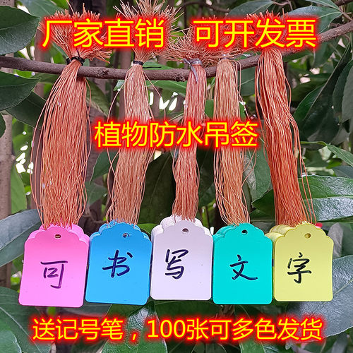 园艺吊牌苗木花卉标签防水防晒