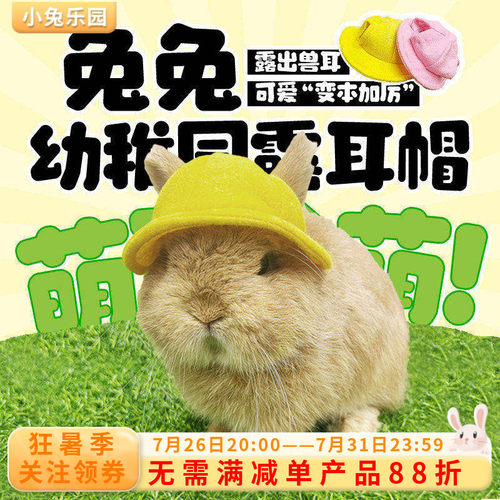 垂耳兔头饰宠物兔子毛毡礼服帽漏