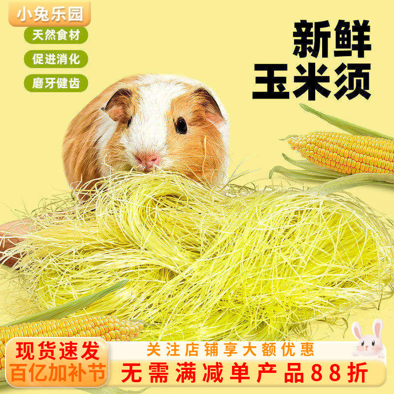 荷兰猪零食新鲜玉米须磨牙玉米笋兔子豚鼠草粮食补充营养互动零食