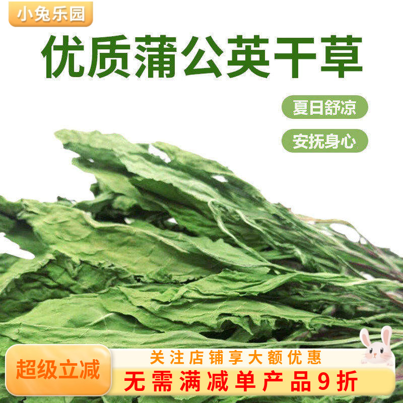 蒲公英干草兔子食用草粮草清热降火祛暑荷兰猪龙猫保健草