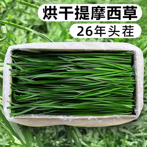 宠界好草小兔家26年北提草段
