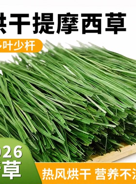 26年新烘干提摩西草兔草兔子食用草北提草豚鼠龙猫干草牧草兔粮