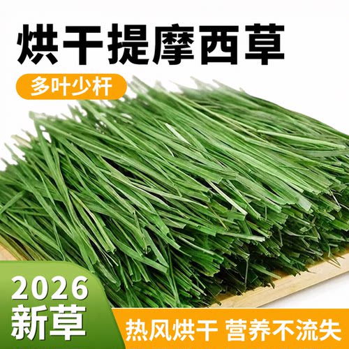 5A提摩西草草段叶多杆绿万人推荐