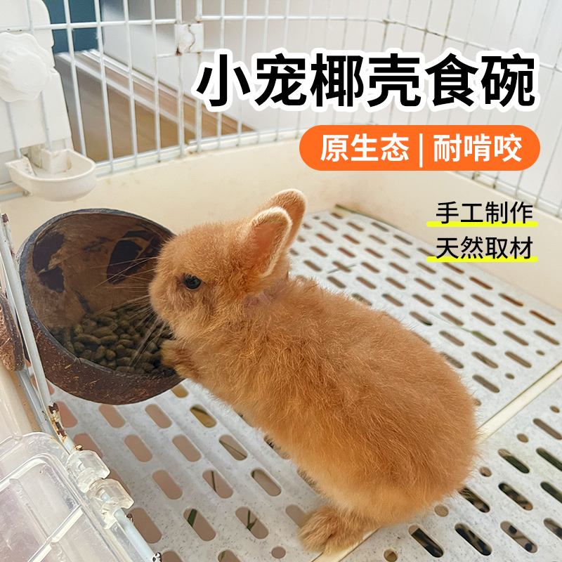 乐园原创天然椰壳碗咬不坏啃不动