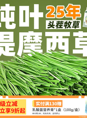 7A级北提烘干提摩西草纯叶几乎无杆适合挑嘴兔兔豚鼠龙猫干草500g