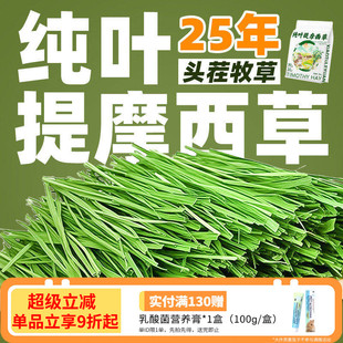 7A级北提烘干提摩西草纯叶几乎无杆适合挑嘴兔兔豚鼠龙猫干草500g