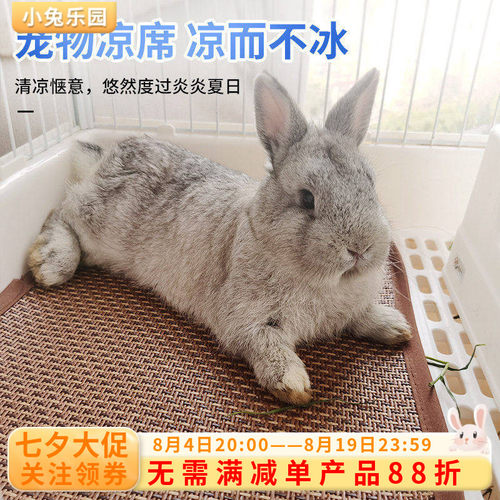 兔子龙猫荷兰猪夏季散热凉席冰垫