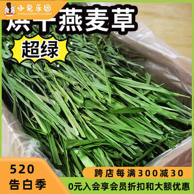 乐园家烘干燕麦草箱装净重500g