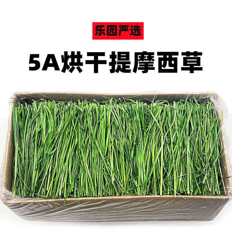 叶多杆少好牧草密宝康5A提摩西草