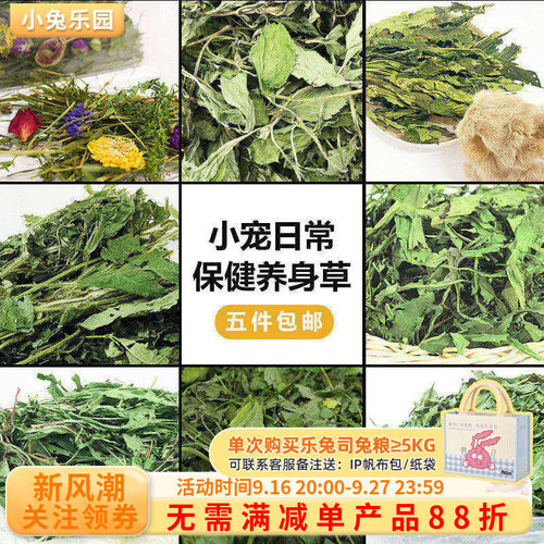 小宠保健草薄荷叶菊苣草蒲公英草