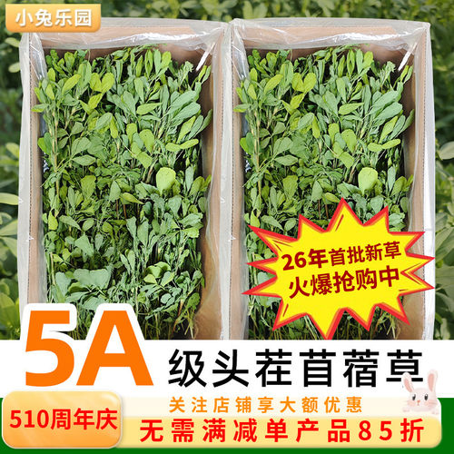 26年新草！！高品质头茬苜蓿草