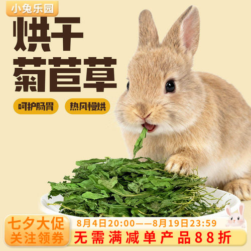 烘干菊苣保健草牧草干草调理肠胃