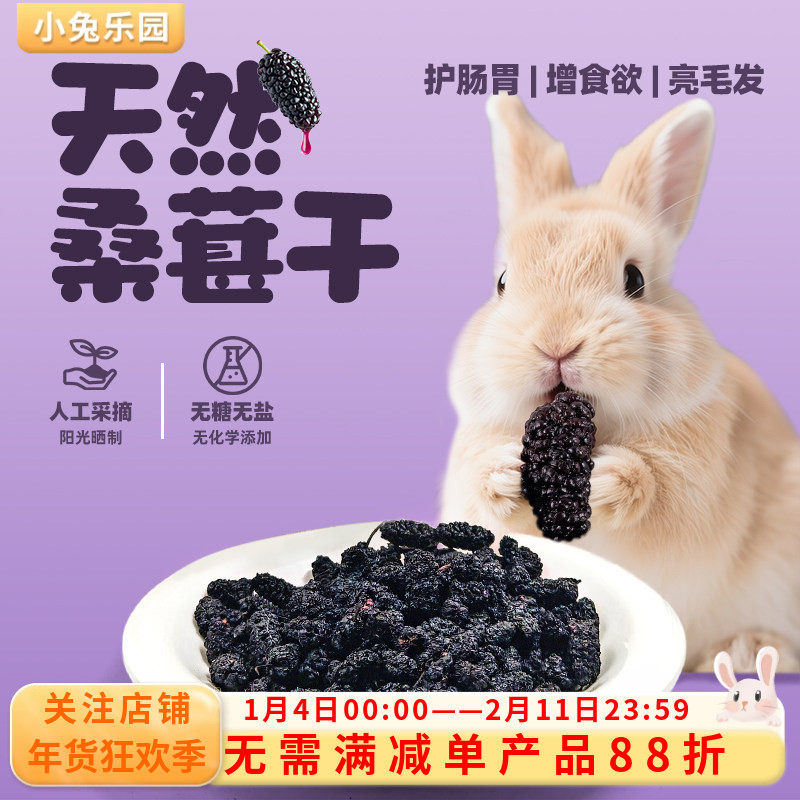 兔子零食磨牙桑葚干爱吃的零食补充营养仓鼠龙猫豚鼠磨牙零食神器,宠物/宠物食品及用品,兔兔零食,淘宝优惠券,粉丝福利购,淘宝优惠卷