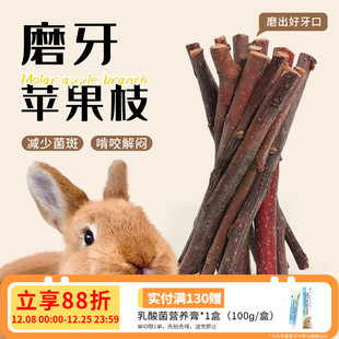 苹果枝兔子磨牙豚鼠磨牙棒仓鼠龙猫磨牙零食玩具用品咬木枝50G
