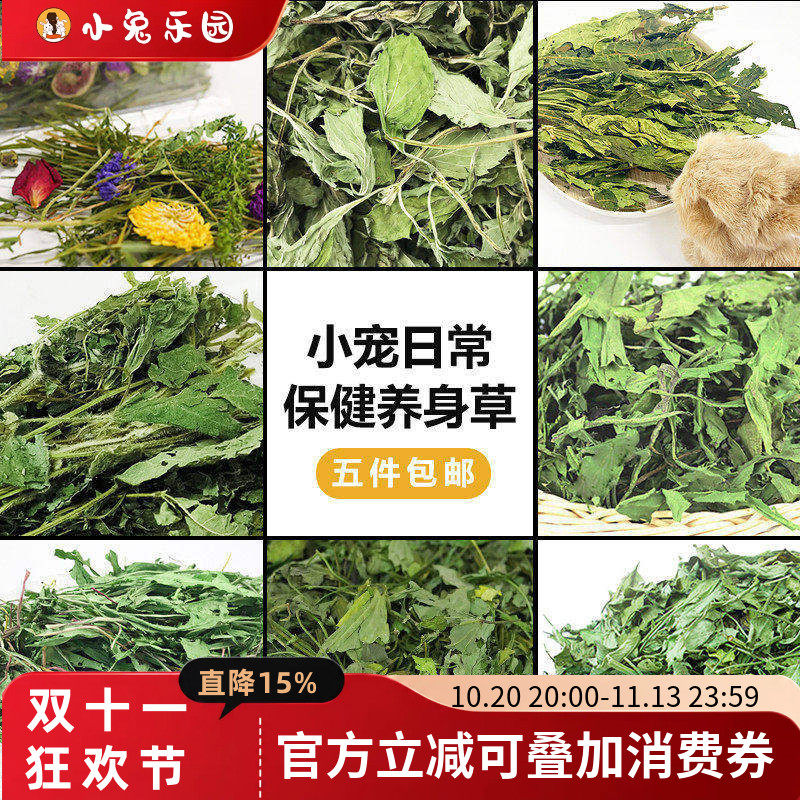 兔兔保健草薄荷叶菊苣草蒲公英干草试吃兔子龙猫清热去火家中常备