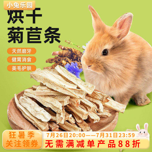 兔子零食菊苣条专用磨牙神器