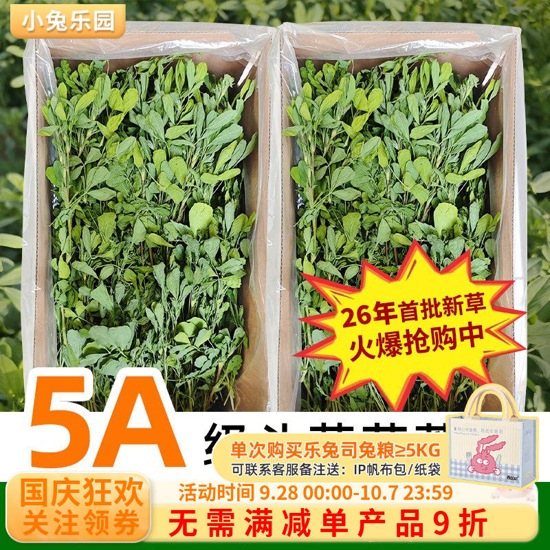 26年新草！！高品质头茬苜蓿草图片