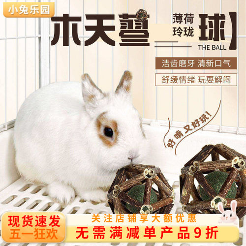 兔子玩具解闷磨牙薄荷球磨牙棒