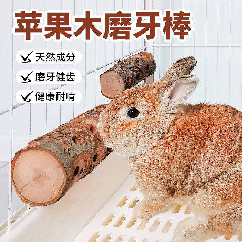 兔子磨牙解闷玩具神器悬挂式苹果木咬木枝龙猫豚鼠荷兰猪磨牙棒