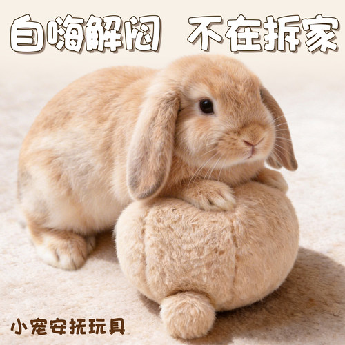 兔子玩具解闷发情自嗨发情球