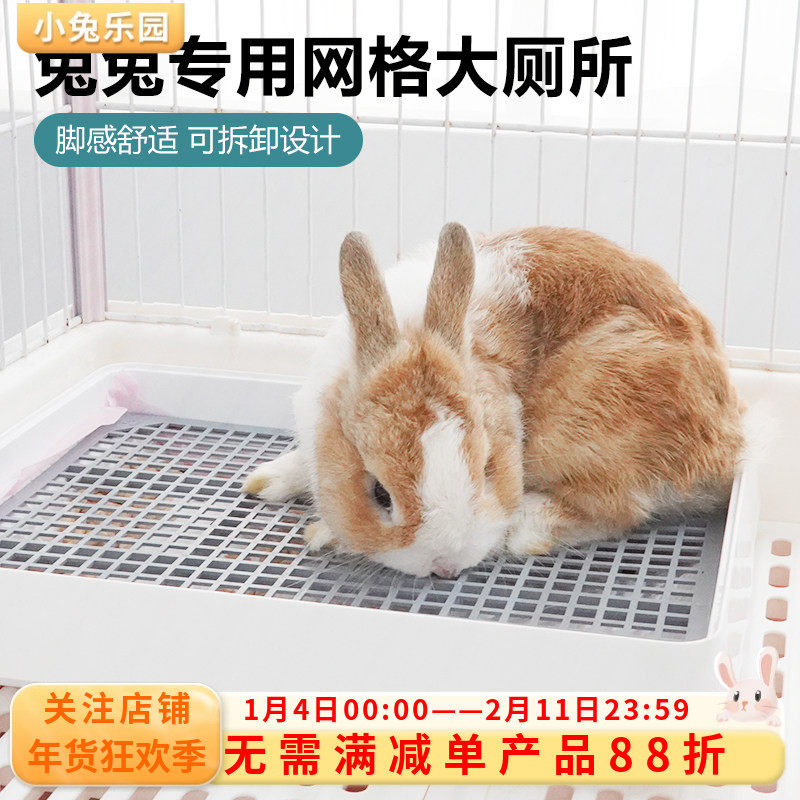 兔厕所龙猫荷兰猪豚鼠兔子专用厕所尿盆大号宠物便盆防掀防喷尿,宠物/宠物食品及用品,兔兔厕所,淘宝优惠券,粉丝福利购,淘宝优惠卷