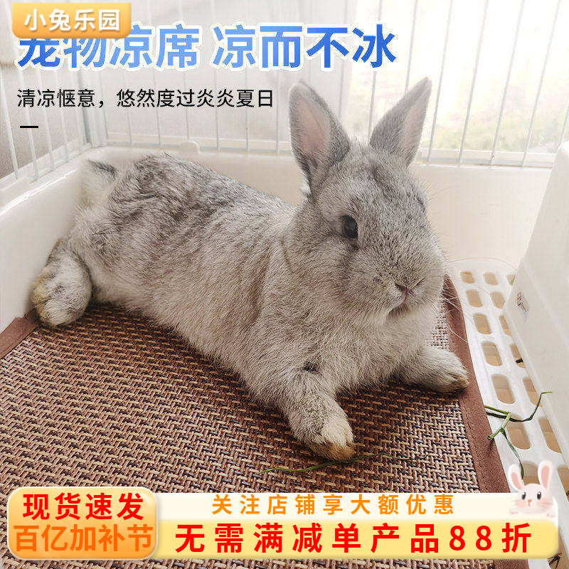 兔兔垫子夏季散热板宠物兔子仓鼠龙猫凉席冰垫凉而不冰消暑用品