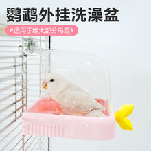 鹦鹉洗澡盆虎皮牡丹玄凤鹦鹉专用洗澡盆内挂自动大号鸟用洗澡盒