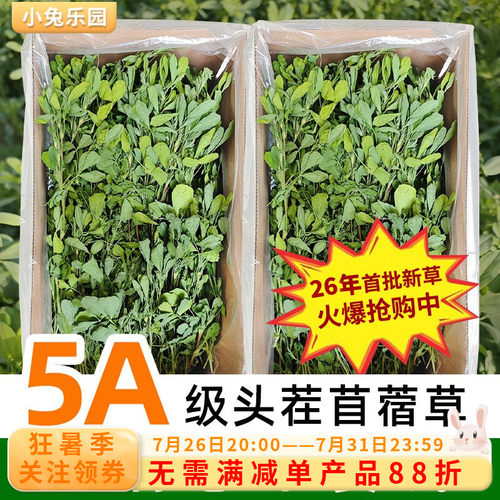 26年新草！！高品质头茬苜蓿草