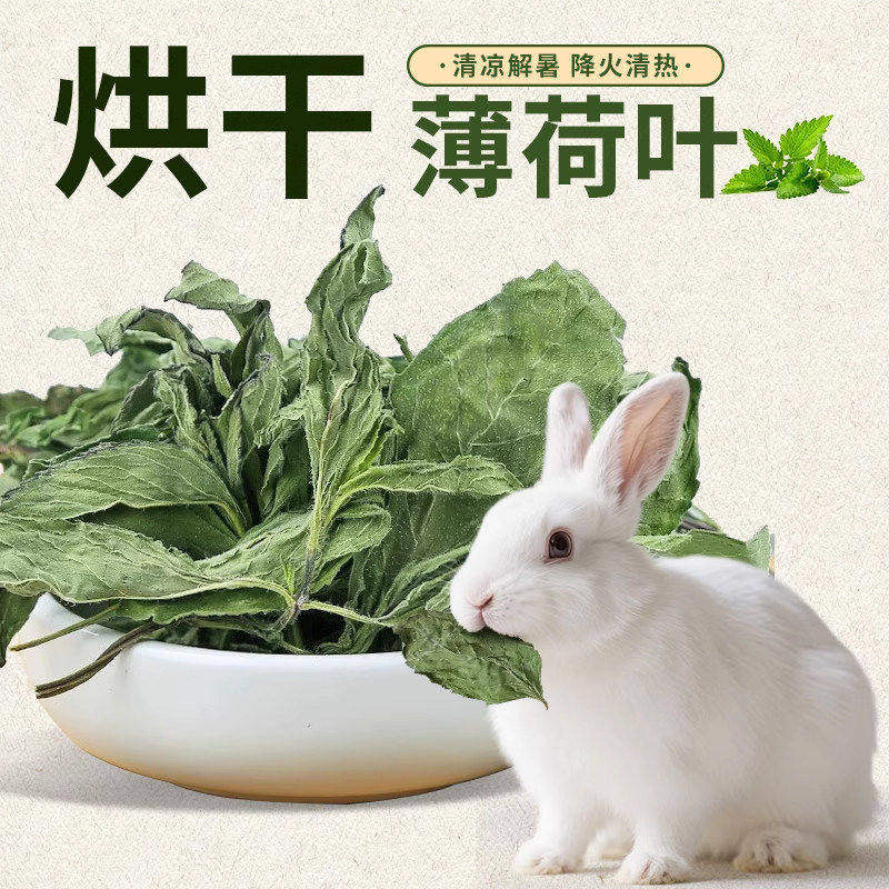 兔子薄荷叶保健草薄荷叶清热兔草兔饲料兔子零食龙猫营养呵护肠胃