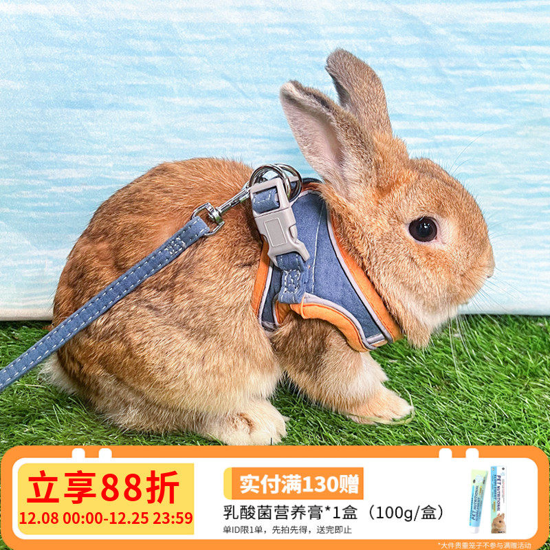 兔子牵引绳溜防挣脱兔绳可调节遛小兔子专用神器背心式兔子用品