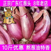 广东本地红葱头干葱头火葱正宗新鲜小香葱种子熬葱油特香商用 包邮