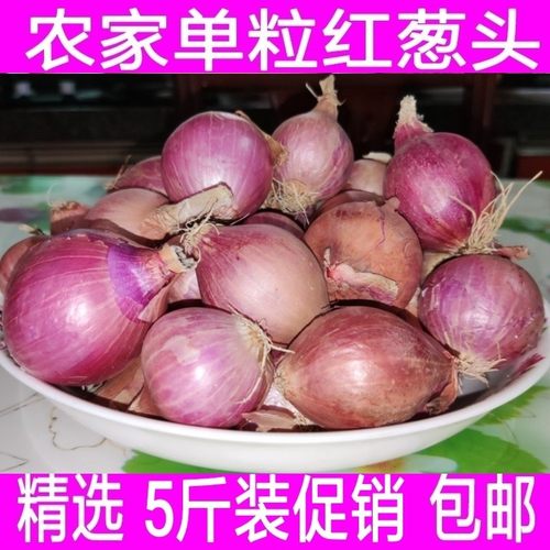 干葱头单粒红葱头广东干葱头