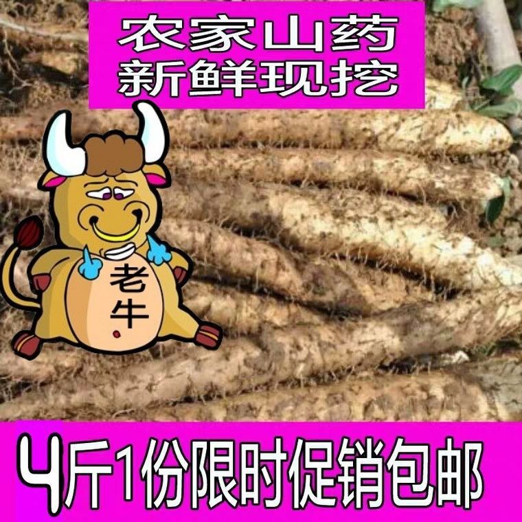广东新鲜淮山铁棍山药农家自产切断装箱一份4斤包邮