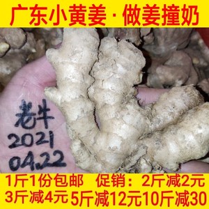 1斤包邮 新鲜蔬菜广东小黄姜月子姜生姜土姜老姜农家肥种植姜撞奶