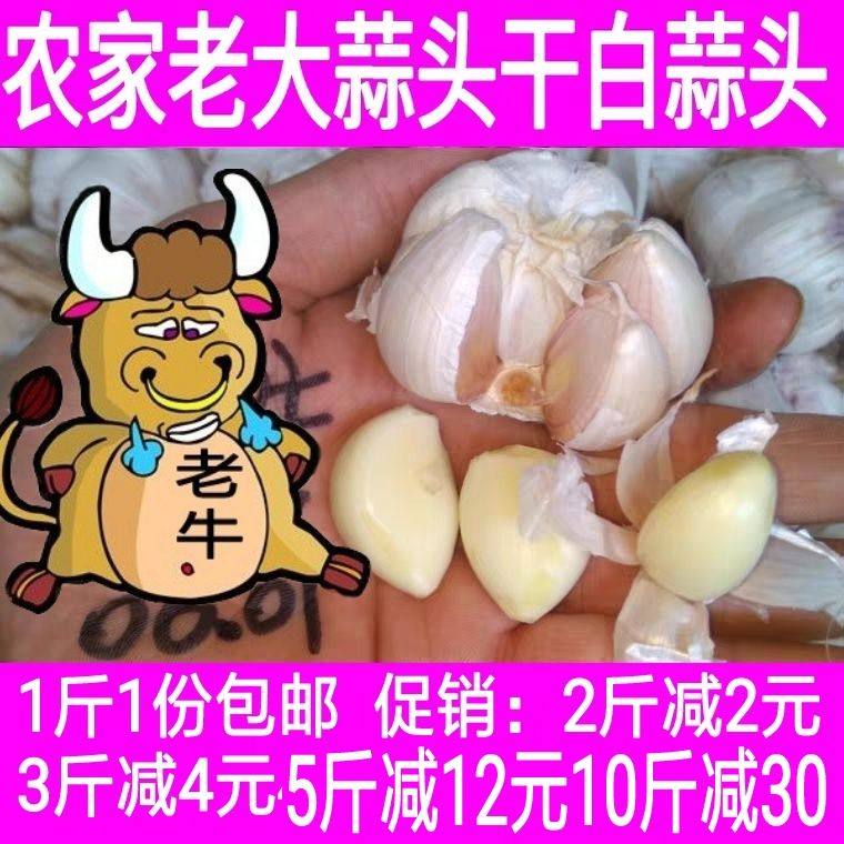 1斤装包邮2021年农家自产大蒜头白蒜头老蒜酒店厨房调料新品促销