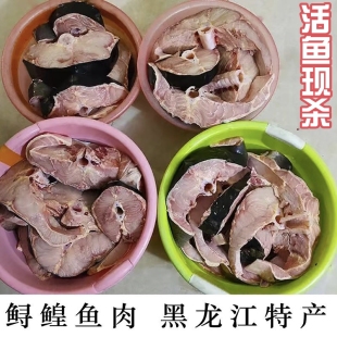 鲟鳇鱼段鲟龙鱼肉黑龙江抚远特产鳇鱼段鱼块现杀现切速冻七里浮子