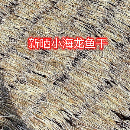新货海龙鱼干小海龙500g海产干货小海龙鱼干海龙鱼小鱼干