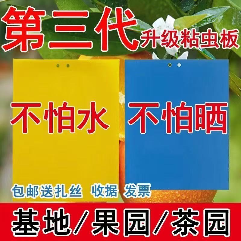 黄色粘虫板双面诱虫板果园小飞虫白粉虱蓝板果实蝇防虫板大棚蓟马