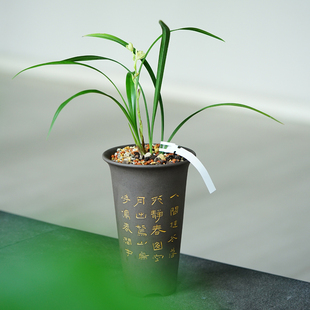 轻奢 东门 第23款刻绘款 出汗泥简约紫砂兰花盆 寒兰春兰建兰盆引