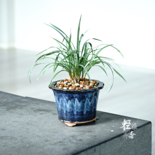 轻奢秦夕洪葵口三足茶沫绿海鼠釉紫砂盆 兰花盆春兰建兰莲瓣兰盆