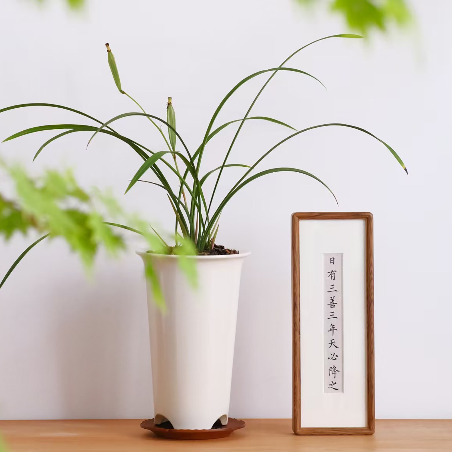轻奢国色拾号白釉紫砂兰花盆