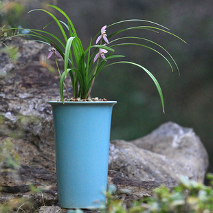 轻奢 国色天香系列 国色5号 真紫砂釉水盆 建兰春兰蕙兰盆寒兰盆