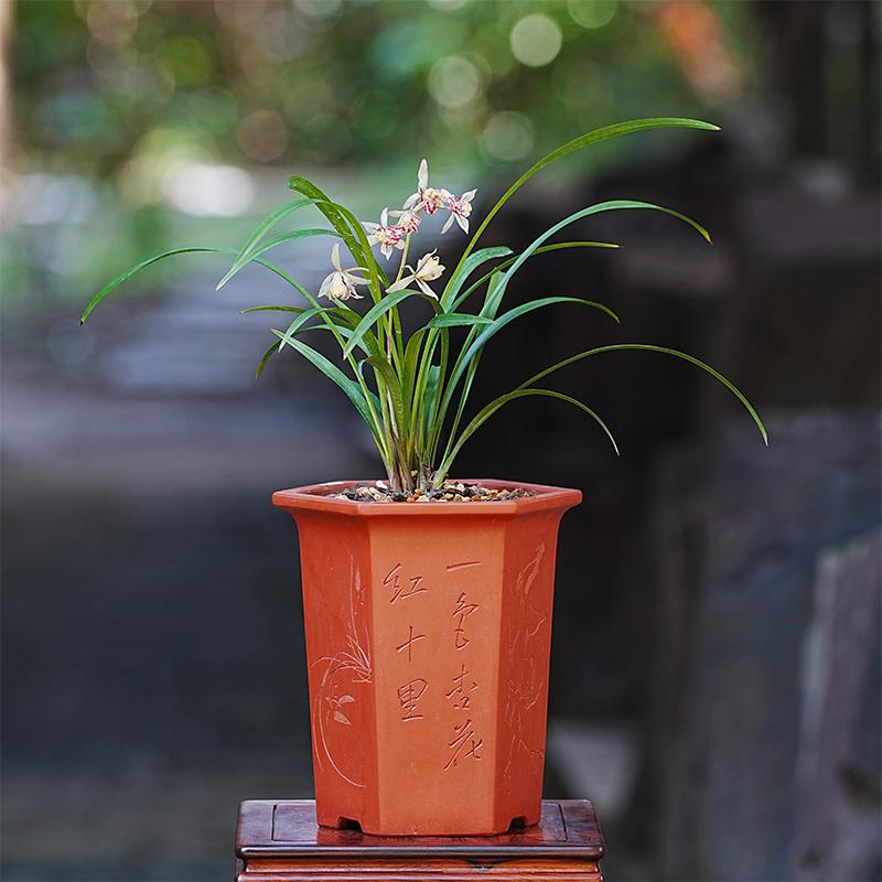 手工精制慕古简约原矿紫砂